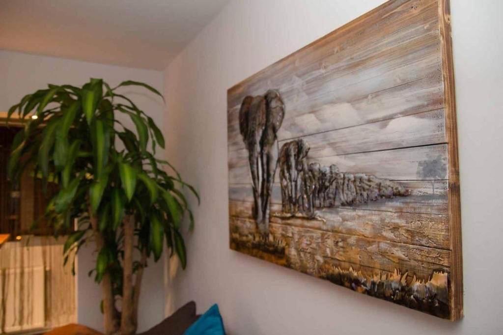 Colonial Touch Apartament Braşov Extérieur photo