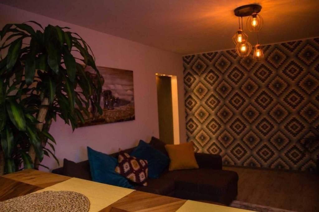 Colonial Touch Apartament Braşov Extérieur photo